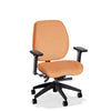 Balance Mid-Back Chair - Basic