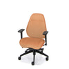 Palisades Classic Mid-Back Chair