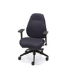 Palisades Classic Mid-Back Chair