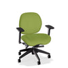 Lifestyles Mid-Back Chair - Basic