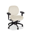 Lifestyles Mid-Back Chair