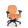 Lifestyles Mid-Back Chair