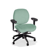 Lifestyles Mid-Back Chair
