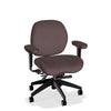 Lifestyles Mid-Back Chair