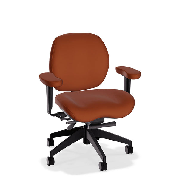 Lifestyles Mid-Back Chair