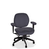 Lifestyles Mid-Back Chair