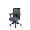 Palisades Elite Mesh-Back