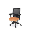 Palisades Elite Mesh-Back