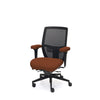 Palisades Elite Mesh-Back