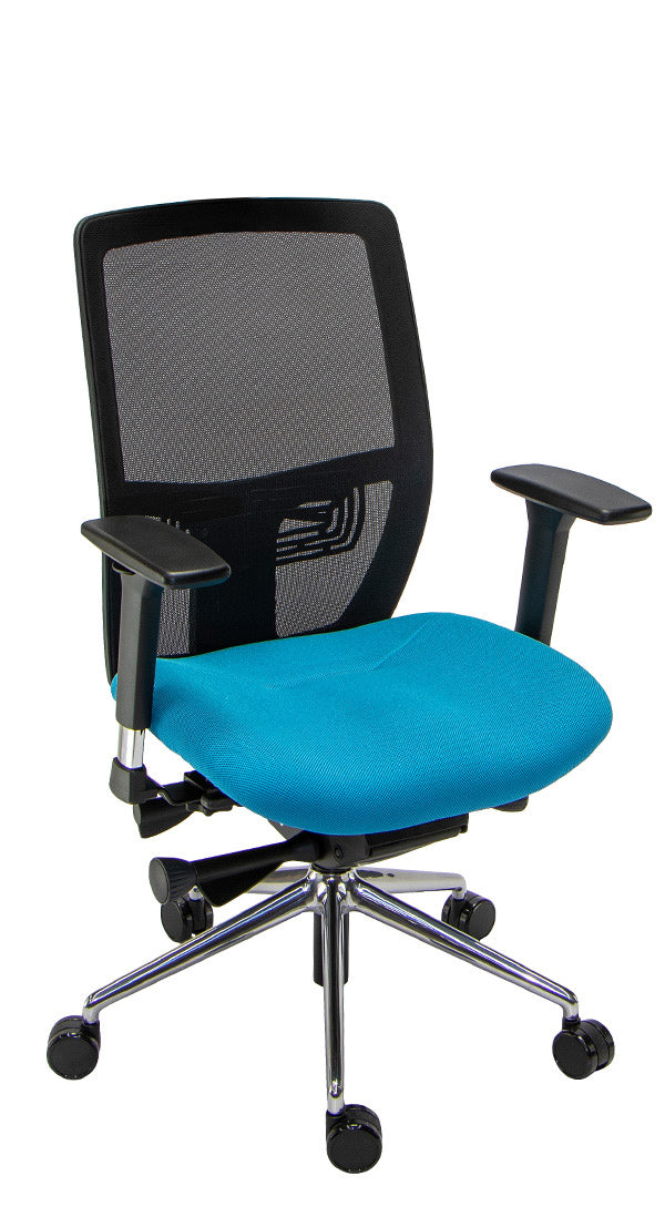 Palisades Conference Mesh-Back